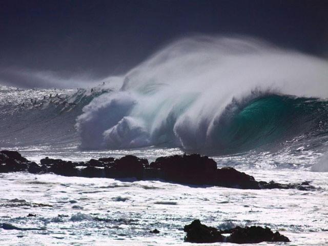 Waimea Bay Garden Bunglaow *