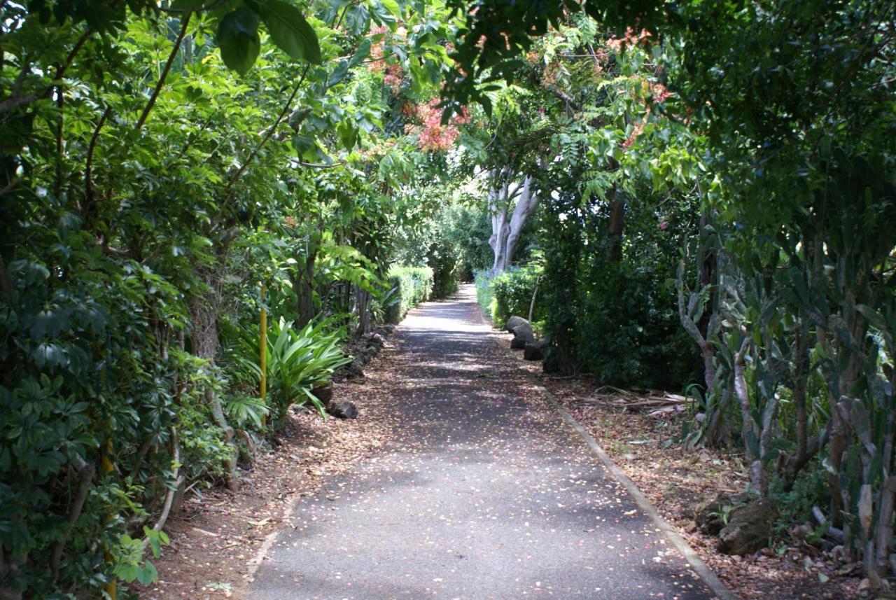 Waimea Bay Garden Bunglaow Hébergement de vacances Haleiwa